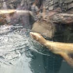 IMG_1577