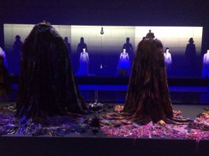 IMG_4808