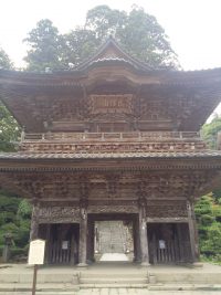 IMG_8695