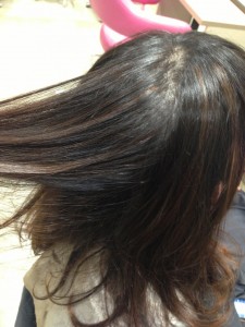 サマーメッシュ